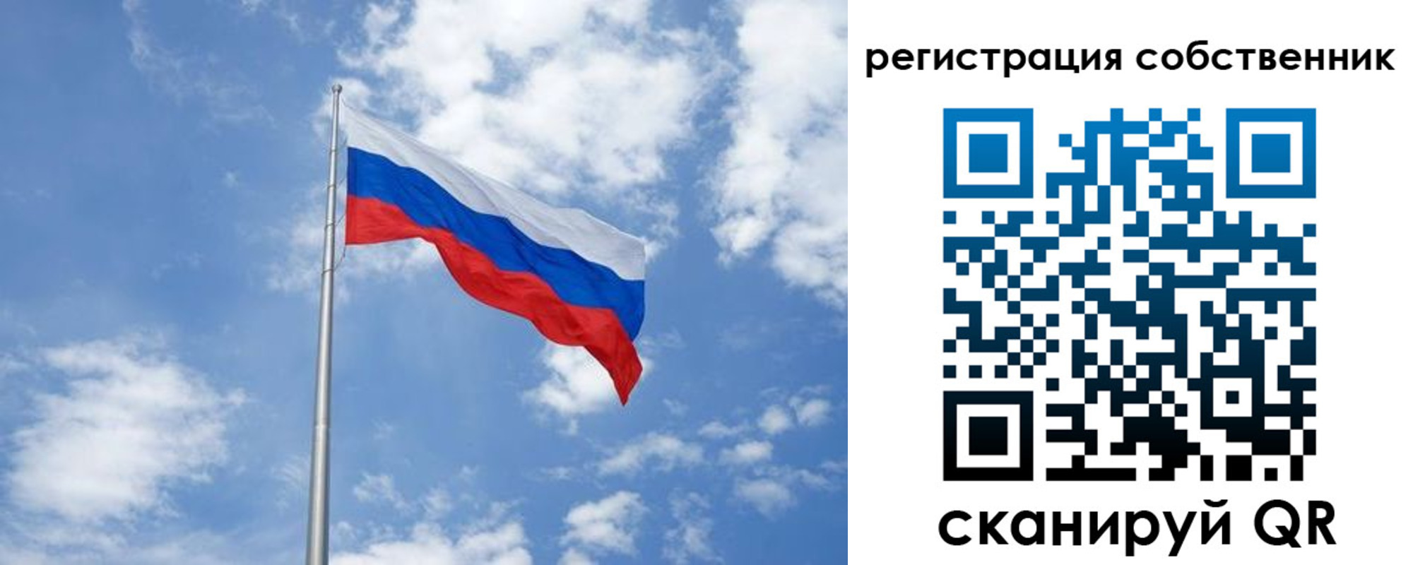 прописка для школы в Коврове